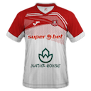 FC Hermannstadt jersey
