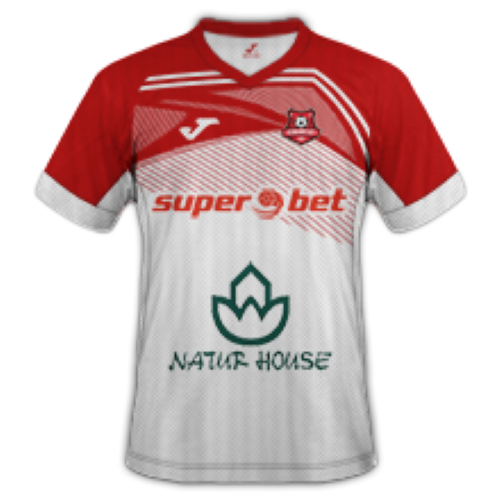 FC Hermannstadt artwork 2