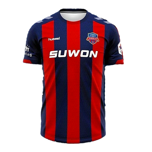 Suwon FC artwork 3