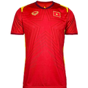 Vietnam jersey