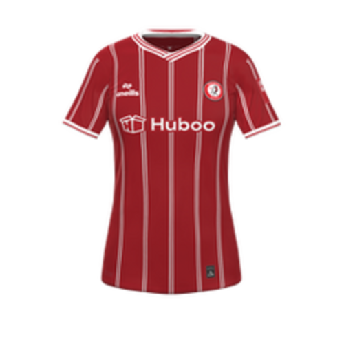 Bristol City WFC artwork 3