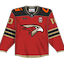 Avangard Omsk kit