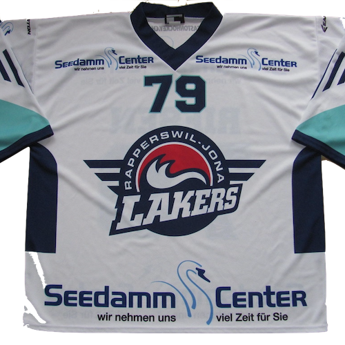 Rapperswil artwork 3