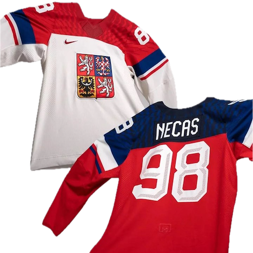 Czech Republic Ice Hockey artwork 2