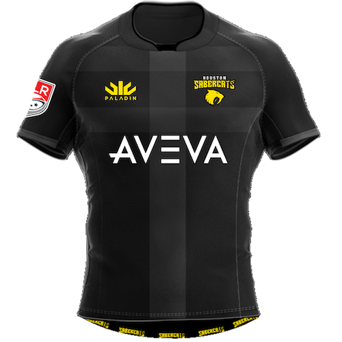 Houston SaberCats artwork 3