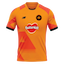 Birmingham Phoenix kit