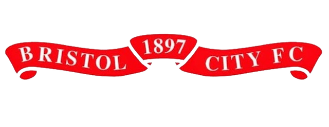 Bristol City artwork 2