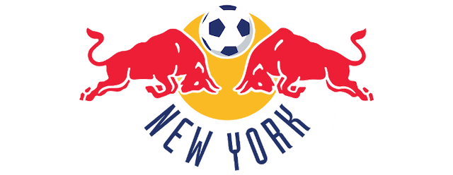 New York Red Bulls artwork 2