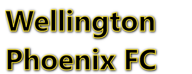Wellington Phoenix artwork 2