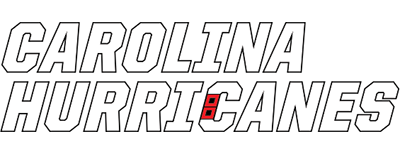 Carolina Hurricanes artwork 2