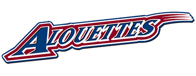 Montreal Alouettes artwork 2