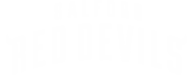 Salford Red Devils artwork 2