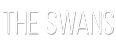 Sydney Swans artwork 2