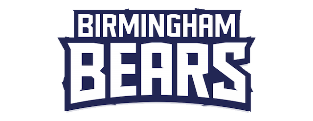 Birmingham Bears artwork 2