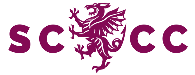 Somerset t20 artwork 2