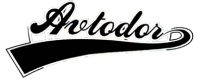 BC Avtodor Saratov artwork 2