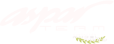 GasGas Aspar Team Moto2 artwork 2