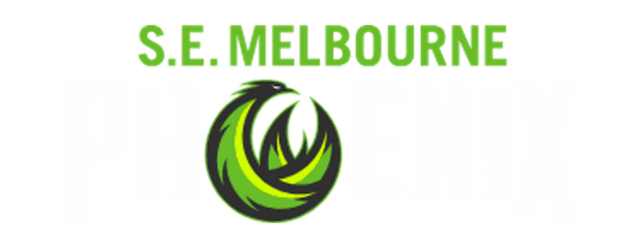 South East Melbourne Phoenix artwork 2