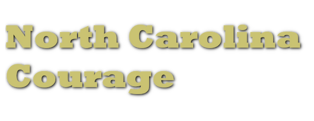 North Carolina Courage artwork 2