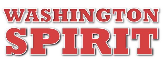 Washington Spirit artwork 2