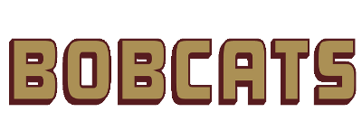 Texas State artwork 2