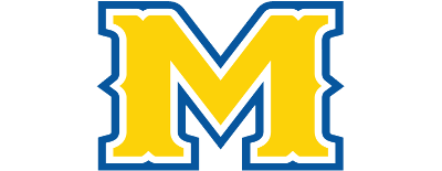 McNeese State artwork 2