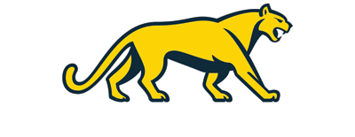 Argentina Rugby artwork 2