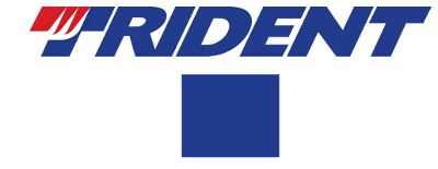 Trident Motorsport artwork 2