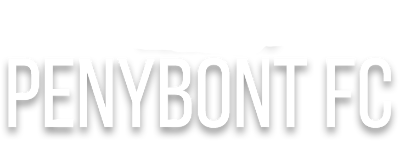 Pen-y-Bont artwork 2