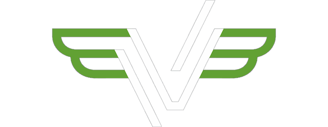 Valmieras FK artwork 2