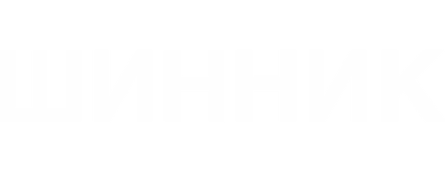 Shinnik Yaroslavl artwork 2