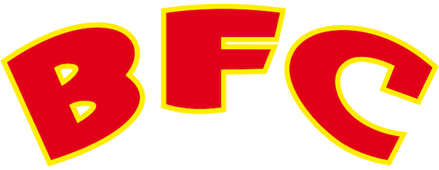 Berliner FC Dynamo artwork 2