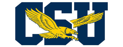 Coppin State artwork 2