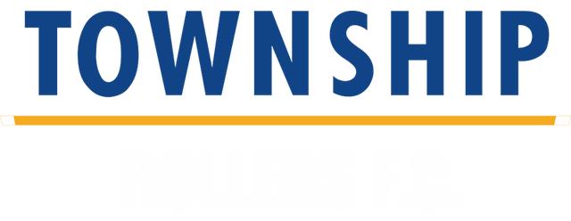 Township Rollers artwork 2