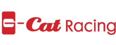 G-Cat Racing artwork 2