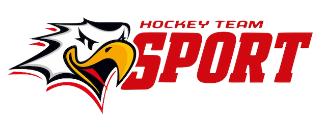 Vaasan Sport artwork 2