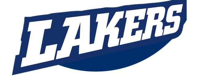 Rapperswil artwork 2