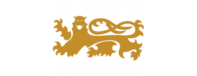 Nagano Parceiro artwork 2