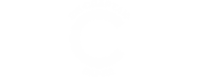 Spartak Varna artwork 2