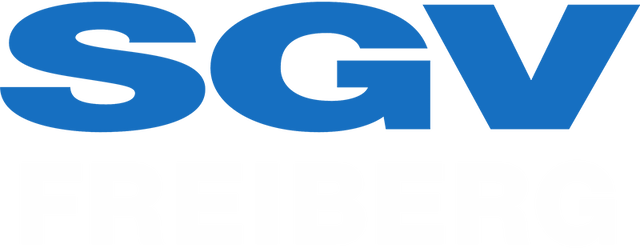 SGV Freiberg artwork 2