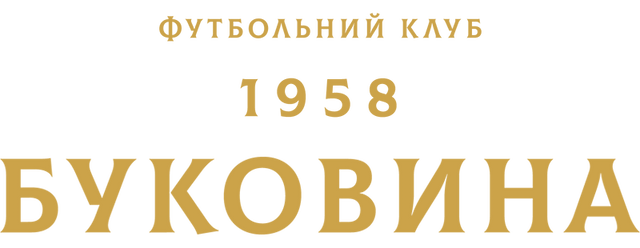 Bukovyna Chernivtsi artwork 2