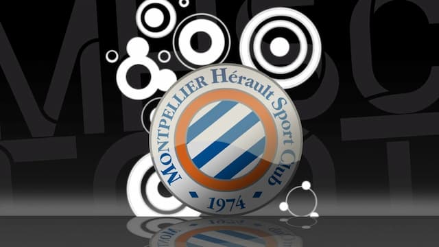 Montpellier artwork 5