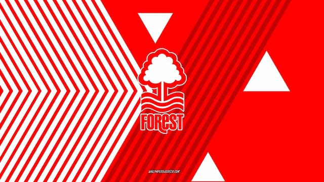 Nottingham Forest artwork 5