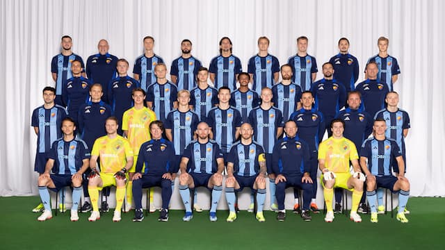 Djurgaarden artwork 5