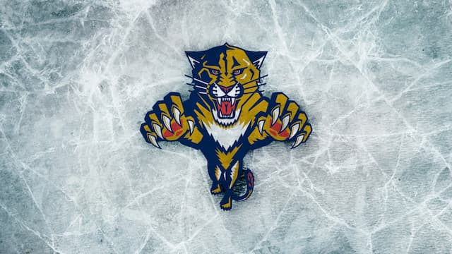 Florida Panthers artwork 5