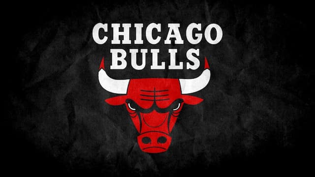 Chicago Bulls artwork 5