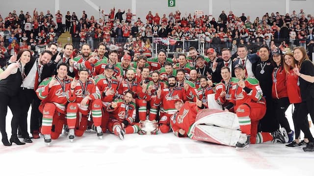 Cardiff Devils artwork 5
