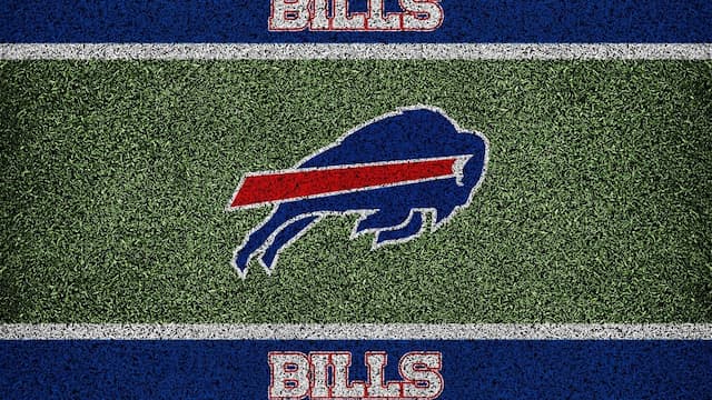 Buffalo Bills artwork 5