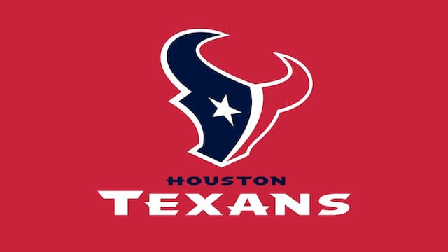Houston Texans artwork 5