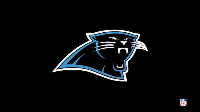 Carolina Panthers artwork 5